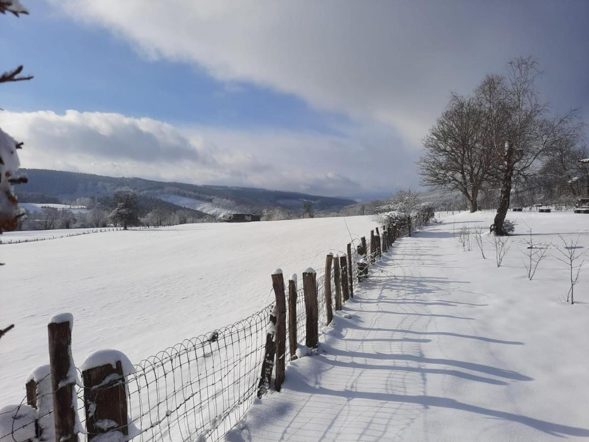 La Roseraie Stavelot Luaran gambar
