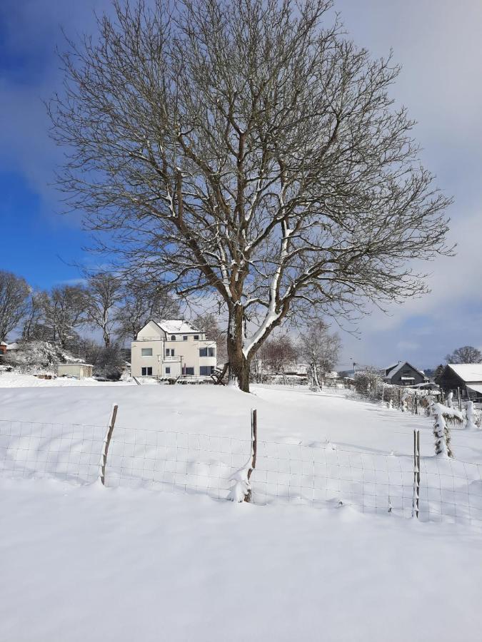 La Roseraie Stavelot Luaran gambar